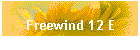 Freewind 12 E